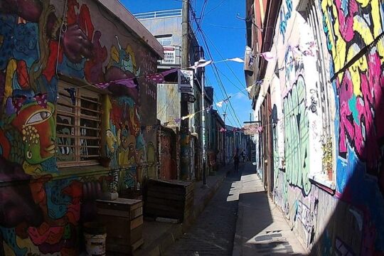 Valparaiso & Viña Del Mar, Museum & Lunch FROM STGO. Private Tour