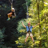 Ziplines