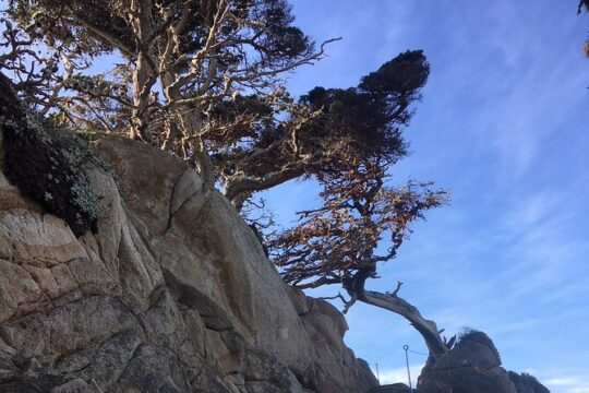 Guided full-day Big Sur hiking adventure with lunch