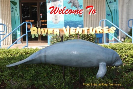 River Cruise Tour with Manatee Viewing