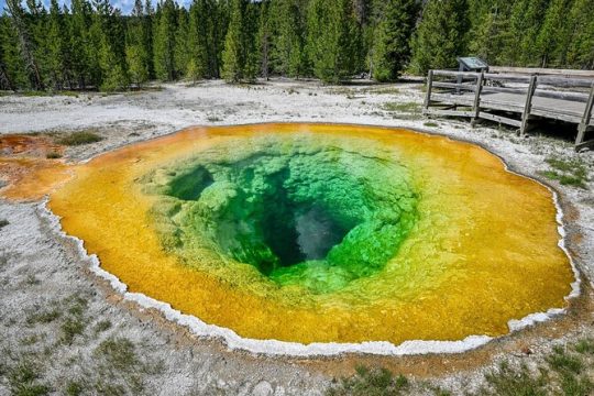 Yellowstone Old Faithful Self-Guided Walking Audio Tour