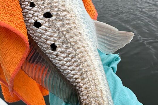 Fishing Adventure in Clearwater