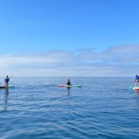 Water Sports