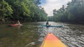 Encompassing paddle in Roanoke.