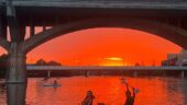 The best bat tours on the water!!