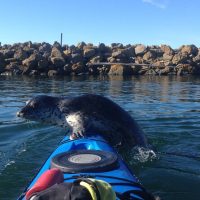 Water Sports