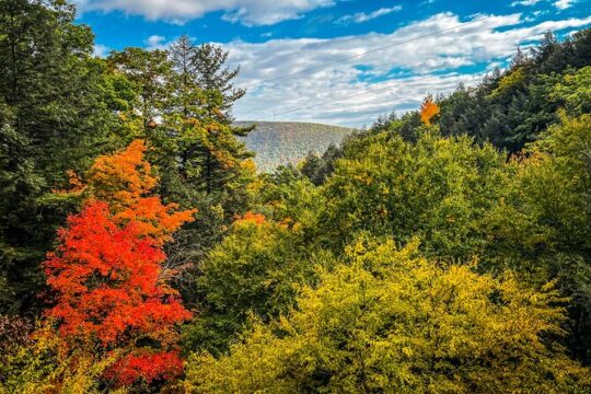 Zipline Canopy Activity Admission at Bristol Mountain