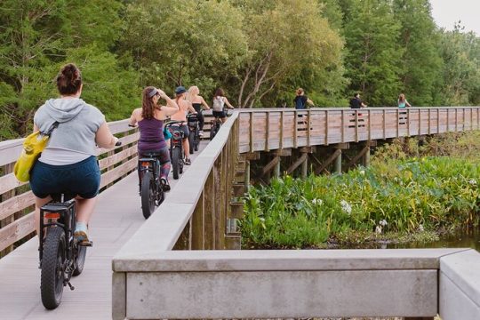 Safety Harbor Hidden Trails Guided E-Bike Adventure with Dessert