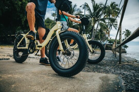 Waikiki Electric Bike Private Tour - Manoa Falls Bike and Hike