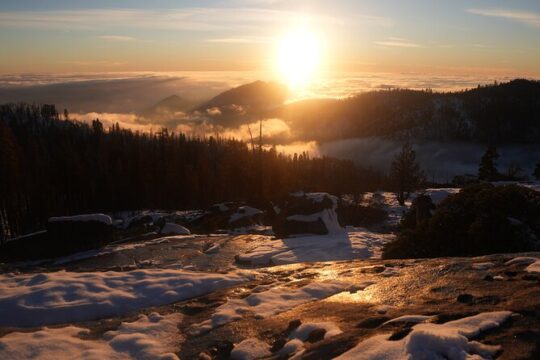 Private Day Tour to Sequoia and Kings Canyon Parks From LA