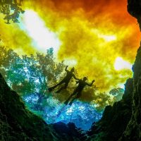 Private & Custom Tours