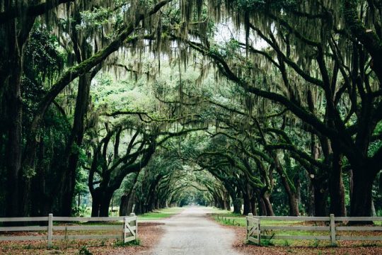 Half-Day Hollywood In The South Film Locations in Savannah