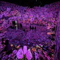 Museum Tickets & Passes