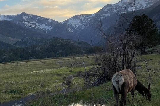 Half-Day Retractable Glass Top Tour in Rocky Mtn National Park
