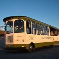 Tours & Sightseeing