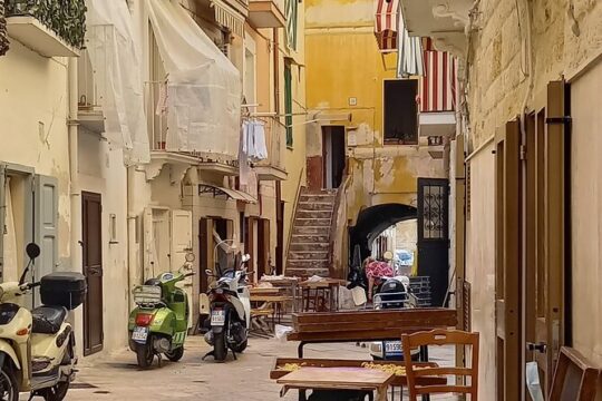 Street Food Tour in Bari old town - Do Eat Better Experience