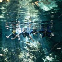 Private & Custom Tours