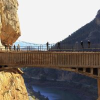 Half-day Tours