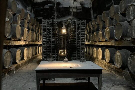 Tour visit and wine tasting to two cellars in Setúbal half day