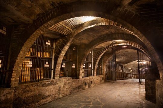 Rioja Wine Tour: 2 Wineries Visit with Tasting from San Sebastian