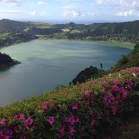 Ports of Call Tours