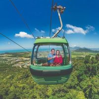 Trolley Tours