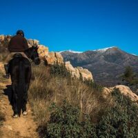 Horseback Riding