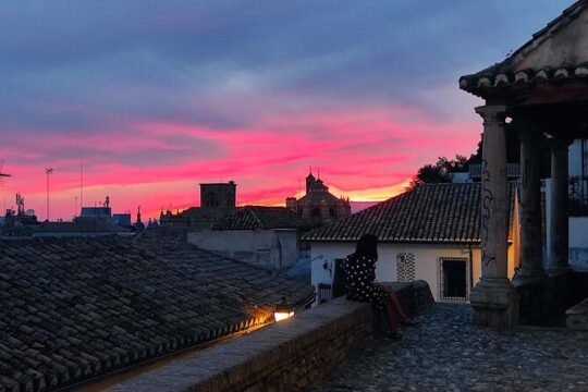 Private tour: 4 cultures, Granada in depth