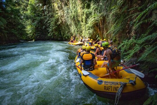 Rotorua Rafting - Kaituna River White Water Rafting