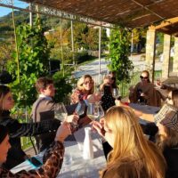 Private & Custom Tours