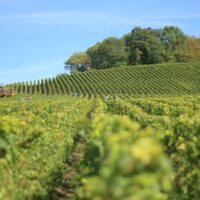 Full-day Tours