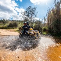 Adrenaline & Extreme