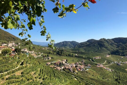 A sparkling day in the Prosecco Hills