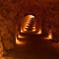 Cultural & Theme Tours