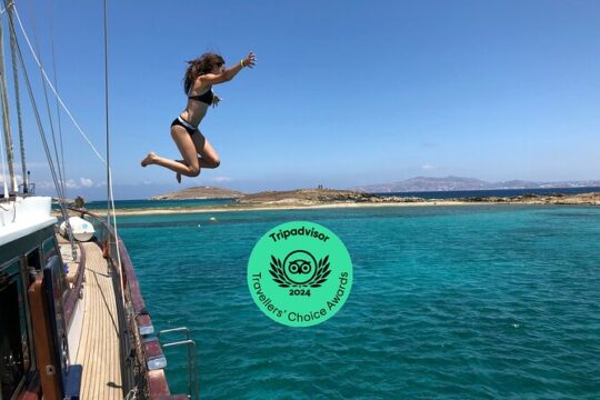 Mykonos: Combo Yacht Cruise to Rhenia and Guided Tour of Delos (free transfers)