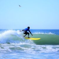 Surfing Lessons