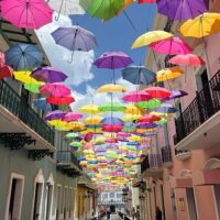 Cultural & Theme Tours