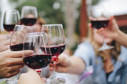 Wine Experience In Chianti Hills from Florence