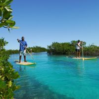 Sustainable Tours