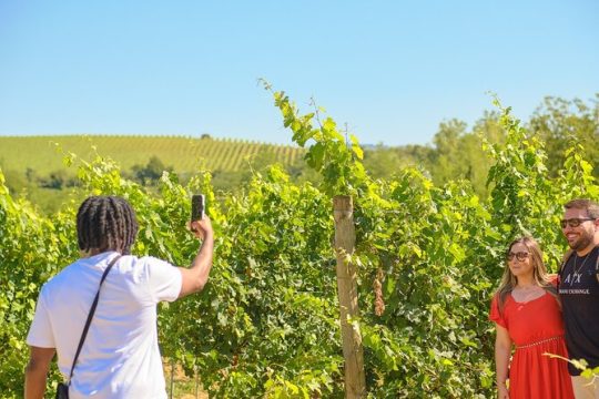 Full day private tour to Chianti wine region from Florence