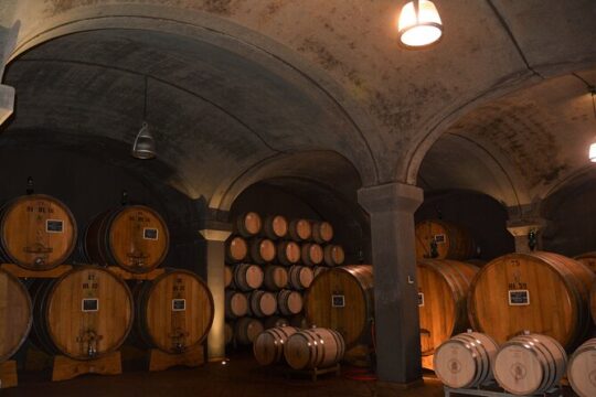 Exclusive Brunello di Montalcino Day Trip from Florence