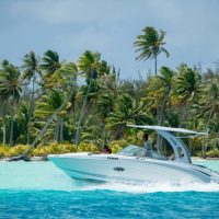 Private & Custom Tours