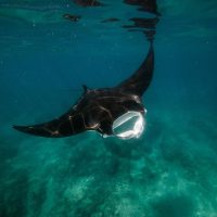 Shore Excursions