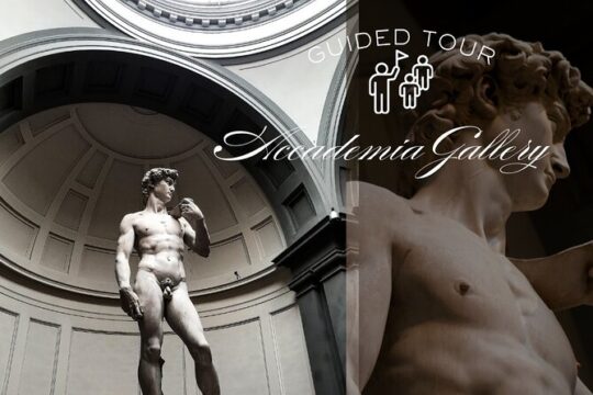 Skip the line guided tour to see Michelangelo's David at the Accademia Gallery