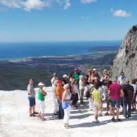 Private & Custom Tours