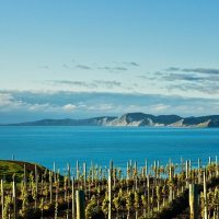Food, Wine & Nightlife