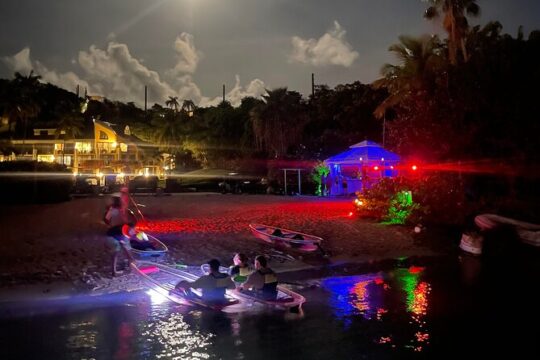 Night Kayak Tour St. John - Westin Resort