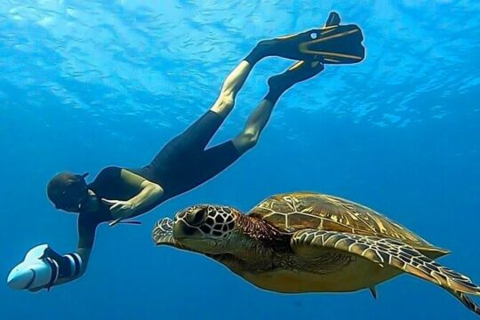 Sea Scooter Snorkel Tour - Guided Ocean Safari + Reef and Lagoon Adventure