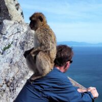 Shore Excursions