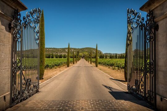Provence Small Group Wine Full Day Tour in Chateauneuf du Pape vineyard from Aix